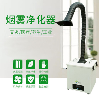 專(zhuān)業(yè)艾灸煙霧凈化器(除煙型)